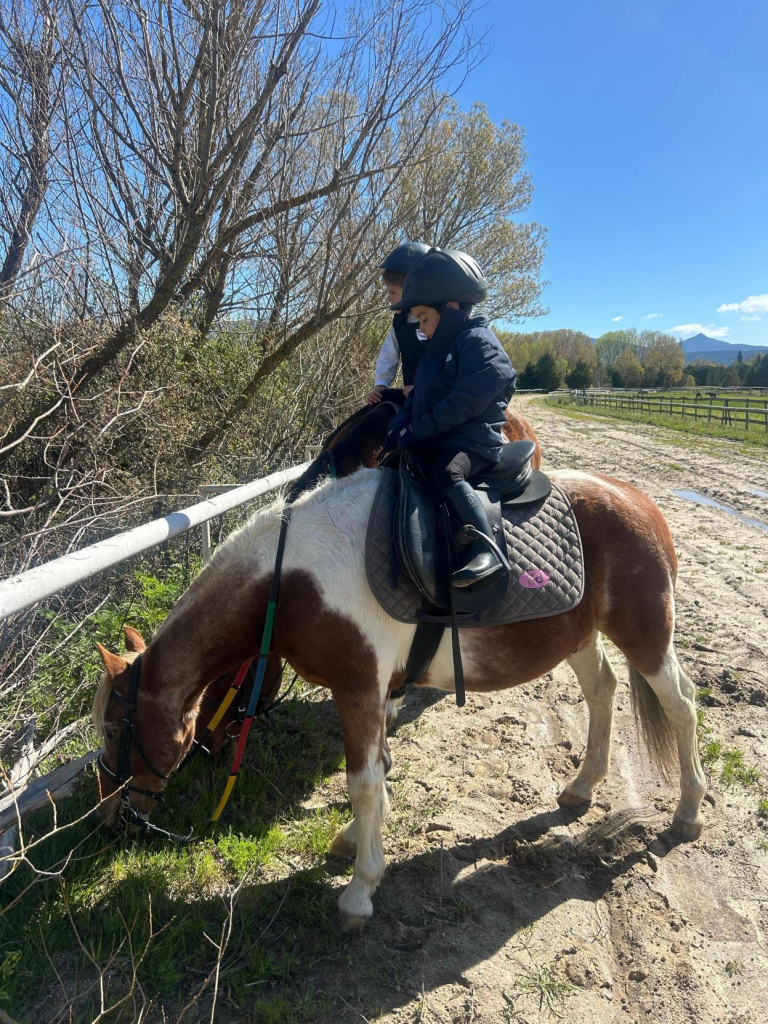 Niño montando en un pony
