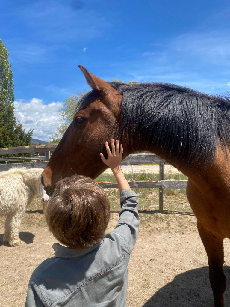 Niño acariciando a caballo